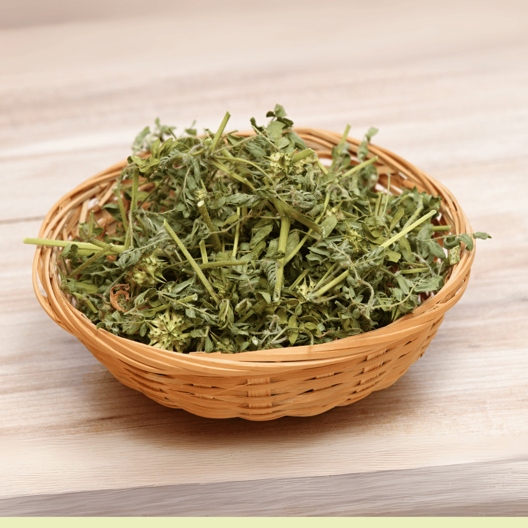 Untitled design (18)