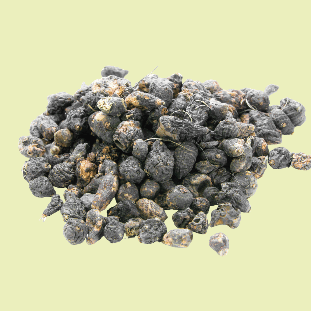 Untitled design (21)