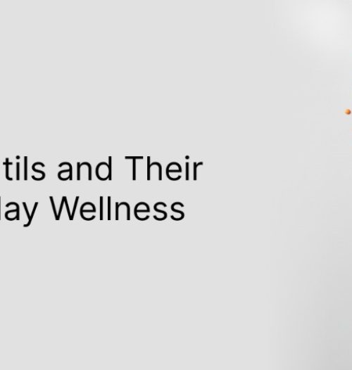 WhatsApp Image 2025-11-11 at 13.31.36_74a90ddf